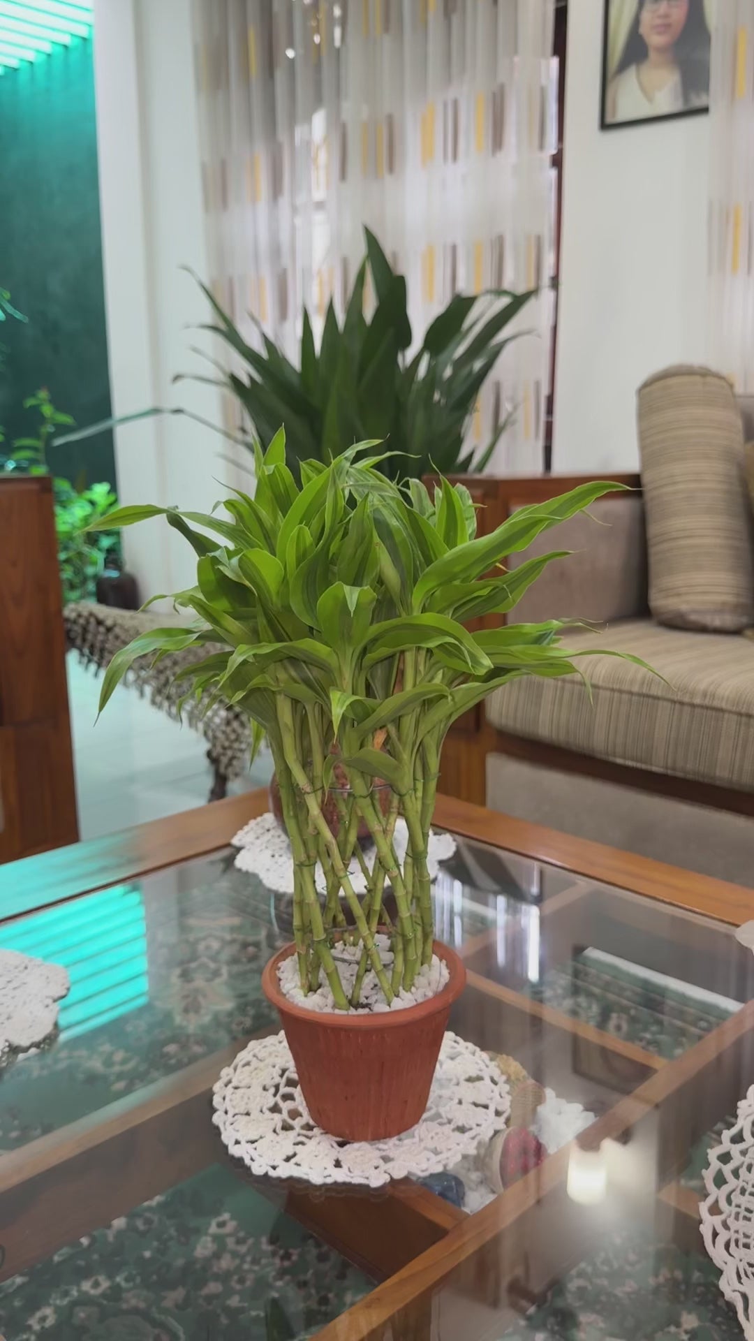 Sandriana Victory Deco Pot