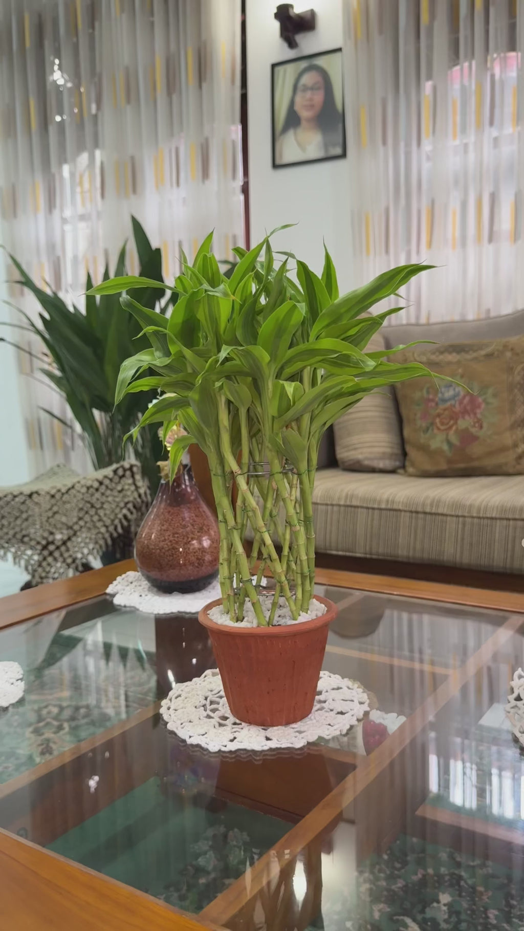 Sandriana Victory Deco Pot