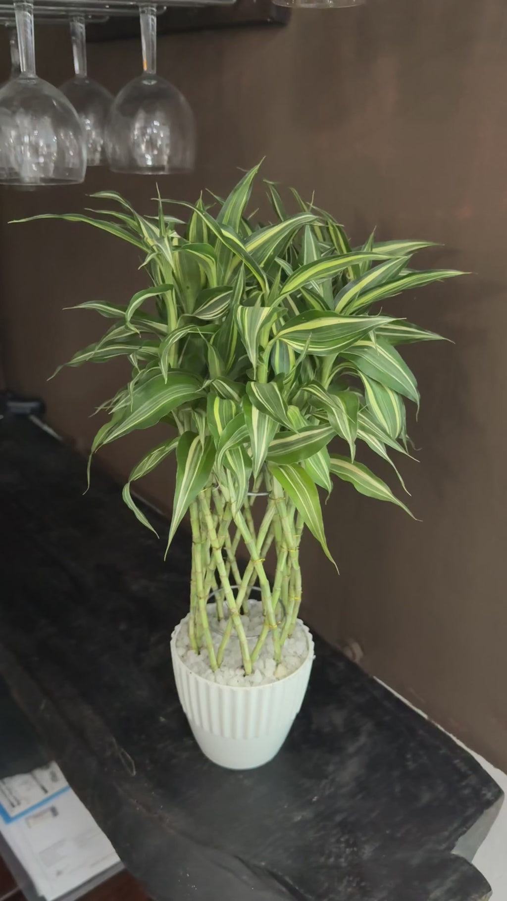 Sandriana Victory Deco Pot