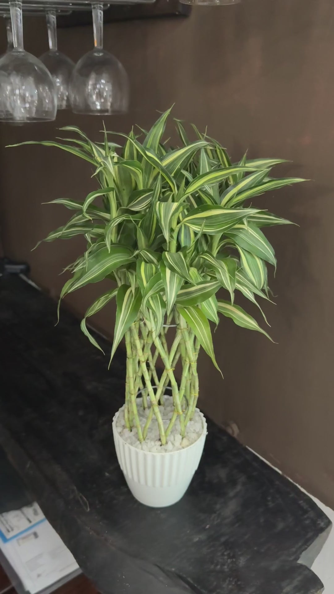 Sandriana Victory Deco Pot