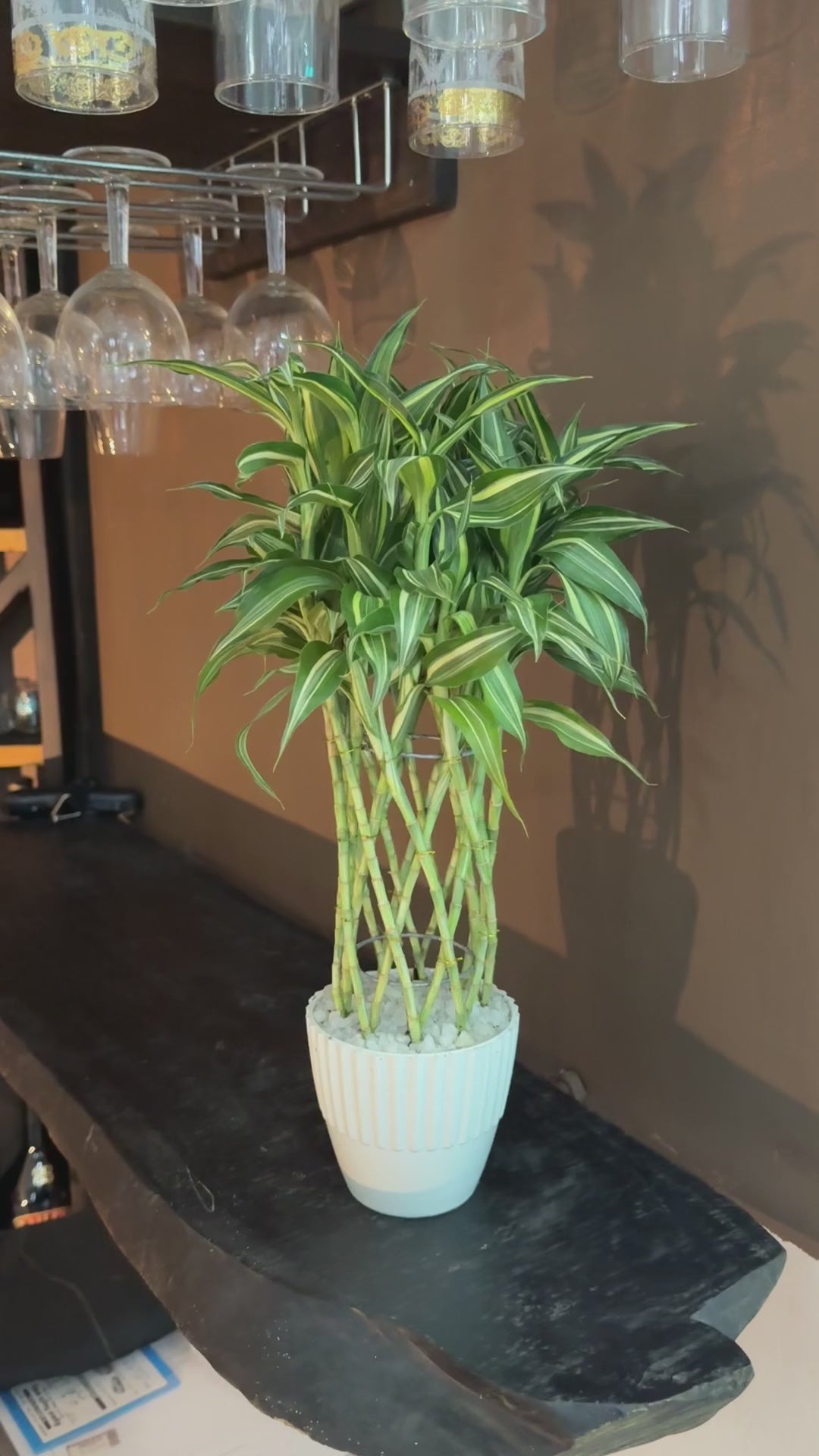 Sandriana Victory Deco Pot