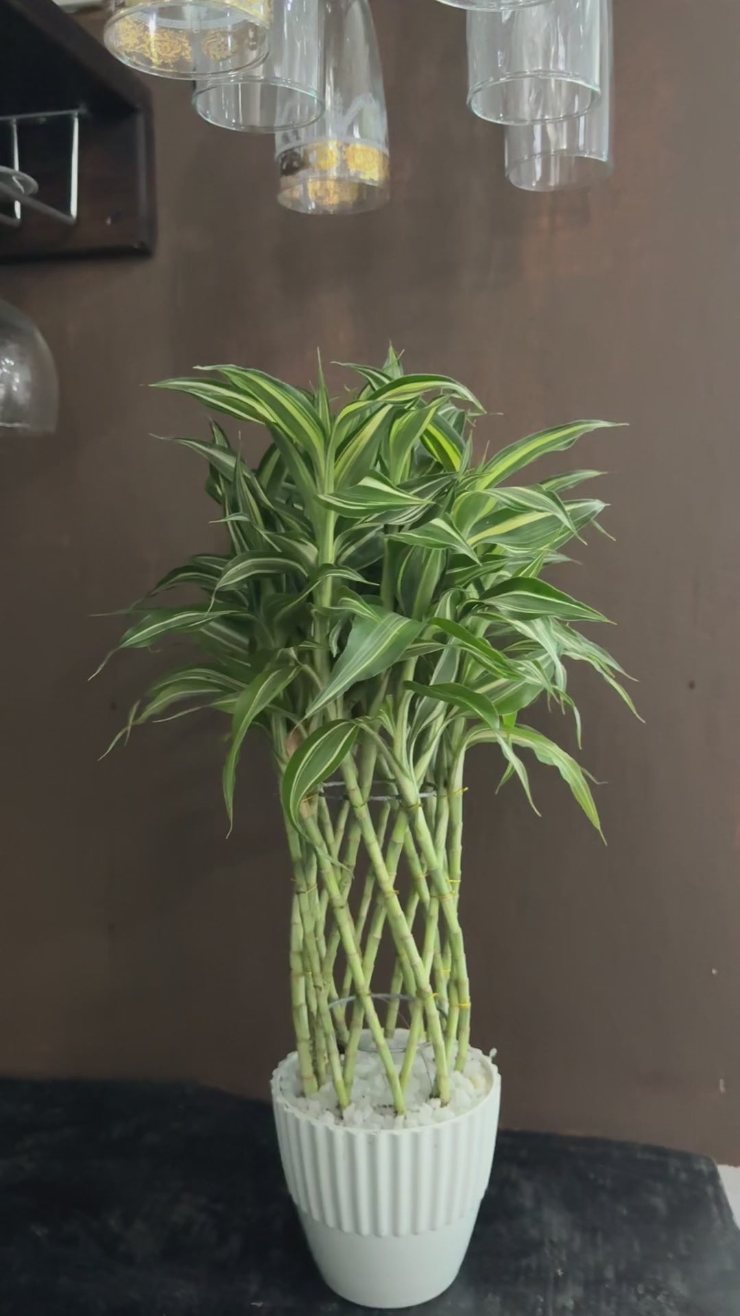 Sandriana Victory Deco Pot